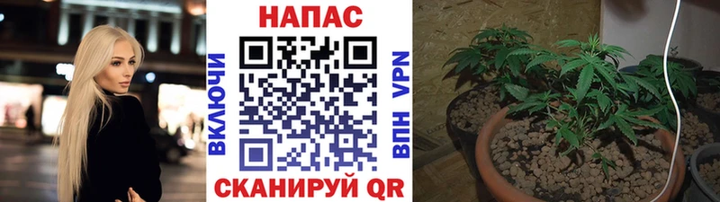 Как найти закладки Камбарка Псилоцибиновые грибы МЕФ A PVP Гашиш Марихуана