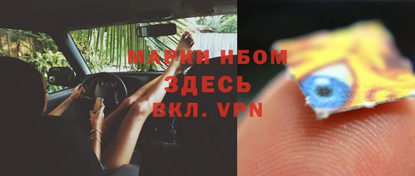 гидропоника Алзамай