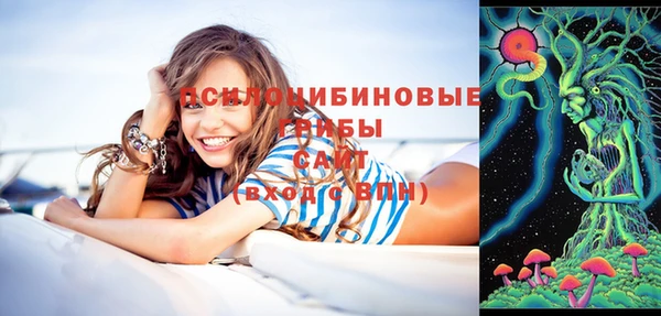 синтетический гашиш Алексин