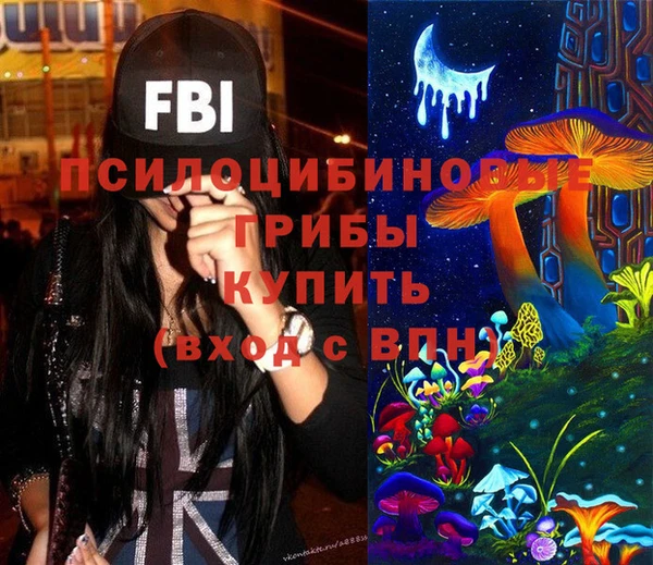 синтетический гашиш Алексин