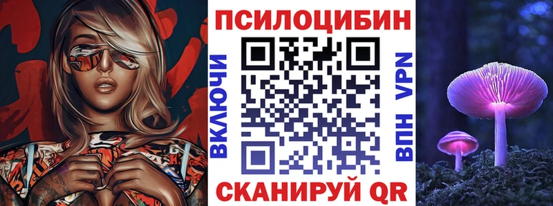 Галлюциногенные грибы мицелий  Камбарка 